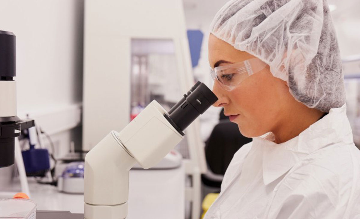 GMP Manufacturing