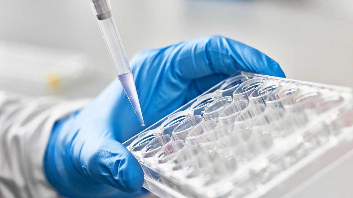 Biosimilar Development