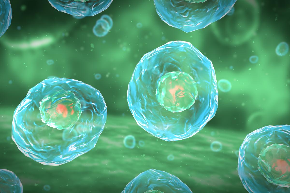 Cell Gene Therapy