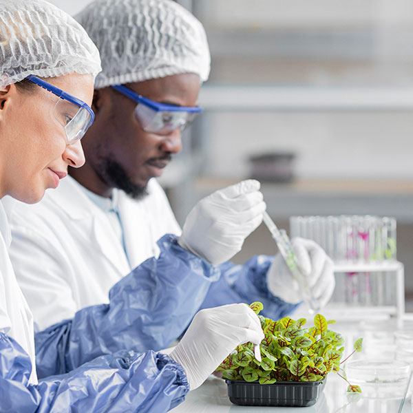 Oracle BioTech Inc Gene Therapy Breakthrough