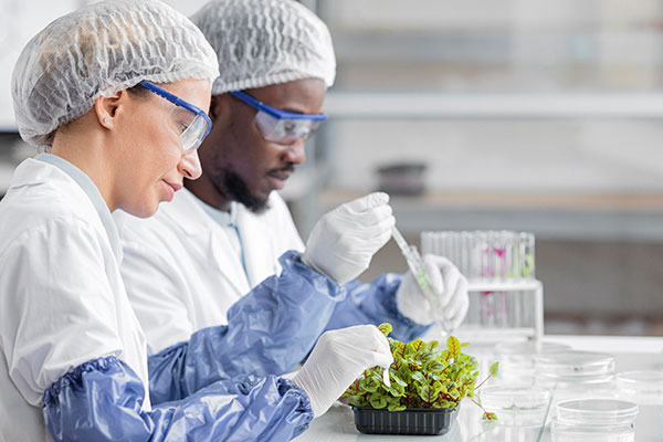 Sample Analysis